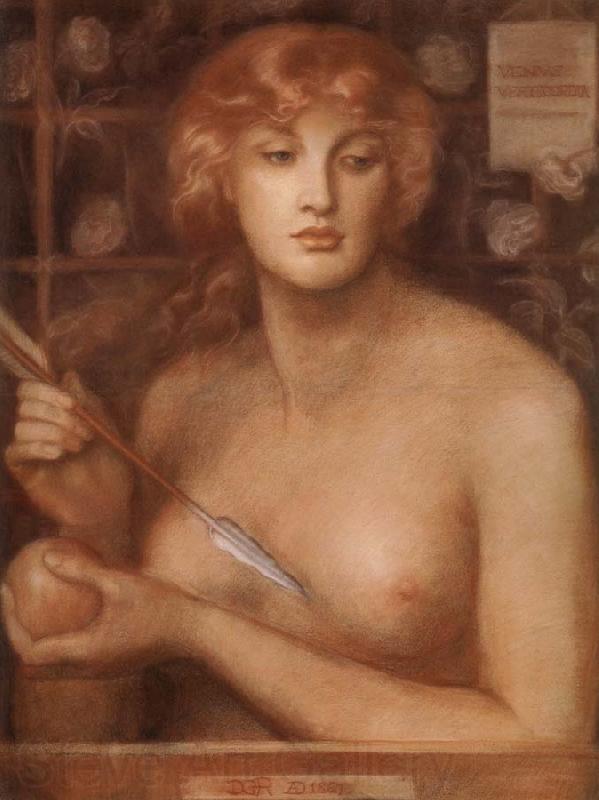 Dante Gabriel Rossetti Venus Verticordia France oil painting art